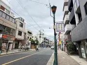 自民党総裁選、石破氏優勢も決選投票の可能性 高市氏・小泉氏追走
