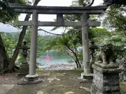 新型コロナ後遺症、脳の血流低下が原因か　研究結果