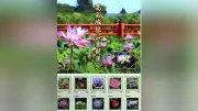 高田城址公園のハスが切手に、観蓮会前に特製シート販売