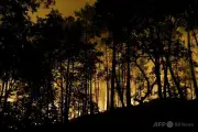 パリ郊外フォンテーヌブローの森で大規模火災、800ヘクタール焼失