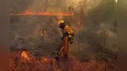 フランス・スペイン各地で大規模山火事、1人死亡・30万人以上避難…熱波影響か