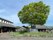 「道の駅グランプリ2026」川場田園プラザが2連覇、2位はあ・ら・伊達な道の駅