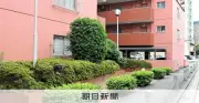 福岡・天神駅近くでサルが小学生襲いけが、警察が注意呼びかけ