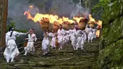 那智の扇祭り、大松明が参道を清める 約6000人が見物