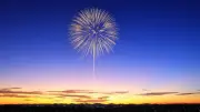 長岡花火大会「白菊」の秘密：佐藤勝利主演アニメ『君と花火と約束と』の聖地巡礼