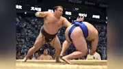 大相撲名古屋場所、熱海富士が初日から4連勝で単独トップに