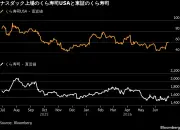 新NISAで高配当株投資の落とし穴 利回り8%超でも注意点