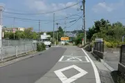 エヌビディア株急落、半導体株に波及効果