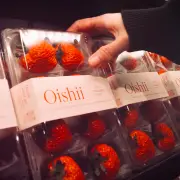 「日本のもので世界をあっと言わせたい」Oishii Farm古賀CEO、植物工場で農業の常識を覆す挑戦