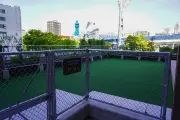 星野リゾート「OMO7横浜」愛犬と楽しむ都市旅を提案、全32室ドッグフレンドリー