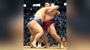 大の里が星を五分に、獅司が単独トップ6連勝 伯乃富士は5個目の金星