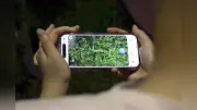 小中高生の1割超がSNSで動画配信、政府調査で初めて実態把握