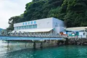 「流しアジ」に挑むペンギンたちの個性あふれる姿が話題、あわしまマリンパーク