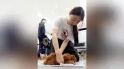 北九州市でペットの心肺蘇生法学ぶ講習会、飼い主ら18人が参加
