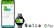 Pixel WatchとGalaxy WatchでSuica定期券・グリーン券・おトクなきっぷが購入可能に