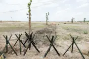 プーチン大統領、北朝鮮に軍事支援を約束 金正恩氏と首脳会談