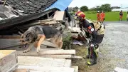 災害救助犬、熊本県八代市で倒壊家屋を捜索 日本レスキュー協会が約30軒を確認、下敷きの人は見つからず