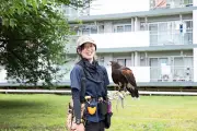 東洋経済の写真記事950093をリライト：独自視点で再構成