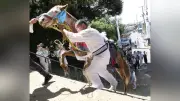 君津・人見神社で神馬が石段駆け上がる 五穀豊穣願う伝統行事