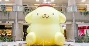 サンリオキャラ大賞で再注目 昭和・平成初期キャラが輝く理由