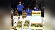 記録更新！サッポロスイカ初競り、2玉3万円で過去最高額 – 札幌市中央卸売市場、2017年以降で最高額、前回2万円を更新