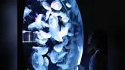 札幌の都市型水族館「AO AO SAPPO RO」開業3周年、25日まで記念イベント開催