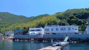 人口27人の離島に年間1500人来店、50年以上続く海の家「中村荘」の秘密