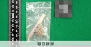 仙台市の中学生、大麻所持で逮捕　乾燥大麻など押収
