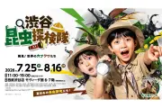 渋谷で700体超のカブトムシ・クワガタ展示、ヘラクレスやUV発光サソリも
