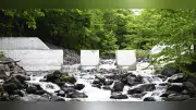 知床半島イワウベツ川ダム上流でオショロコマ生息確認、電子タグで遡上を証明