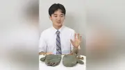 昭和100年：戦後80年の節目に「未来への教訓」を語る特別展