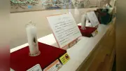 シーボルトが200年前に甲賀で購入したトキの剥製、琵琶湖博物館で里帰り展示