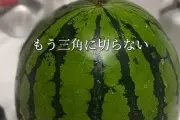 もう三角に切らない！スイカの保存に便利な容器合わせカット方法がInstagramで話題