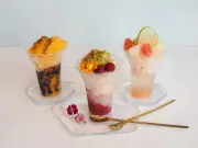 スターバックス「プリンチ」からイタリア風かき氷「グラニータ」新作3種発売
