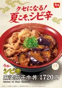 すき家、「シビ辛麻婆茄子牛丼」8月4日発売 牛肉×麻婆茄子のあいもり