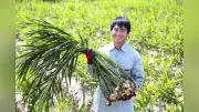 夏の食卓に「刺激」と「いたわり」共存、生姜がカギ 坂田信夫商店調査