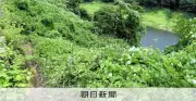 奈良2女性遺体遺棄、容疑者が「車で運搬し一人で遺棄」と供述