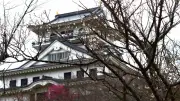 秀吉を天下人にした男、豊臣秀長の実像：鳥取城兵糧攻めと残虐性