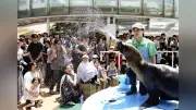 東京で震度5弱 津波なし 東北・関東で広範囲に揺れ
