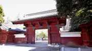 東大2027年9月新学部開設、国立難関10大学の最新動向を総まくり