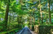 東京から日帰りで行ける避暑地・涼スポットおすすめ10選