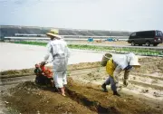 東洋経済の記事を写真で見る、新たな視点から