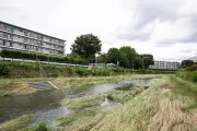 東洋経済のフォト記事が示す日本の経済動向