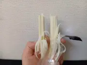 東洋経済の写真特集：注目の16枚を一挙公開