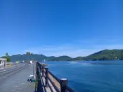 東洋経済の写真特集：注目の20枚を一挙公開