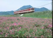 東洋経済の写真特集から見る2024年の注目トピック
