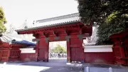 東大2027年9月新学部開設へ、国立難関10大学の最新動向を総まくり