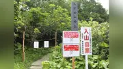 都市部のヒートアイランド現象、気温上昇の原因と対策を徹底解説