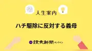 ハチ駆除反対の義母に悩む50代主婦へ 作家・藤原智美さんの回答