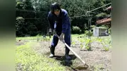 雑草は「削り取る」のがコツ、家庭菜園1か月半の記者が学ぶ